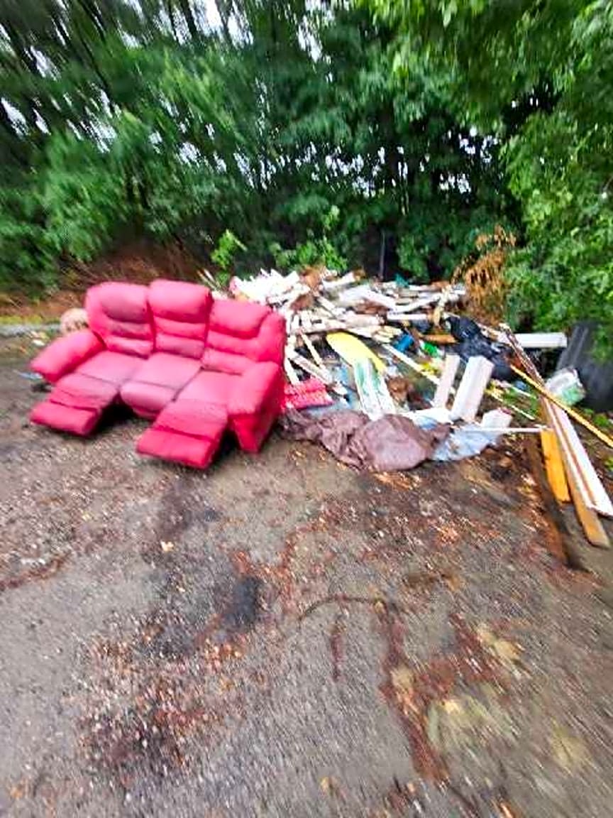 Image submitted with report