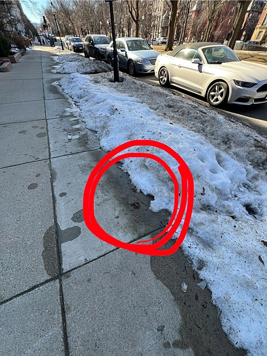 Image submitted with report