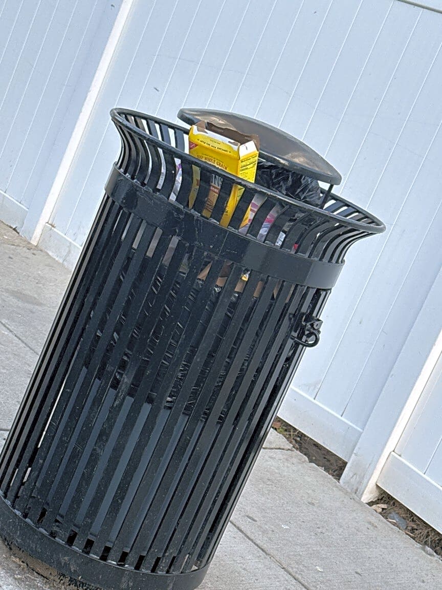 Image submitted with report