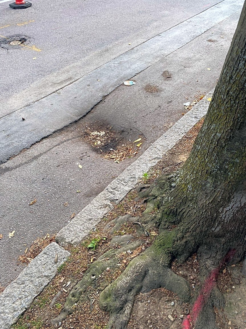 Image submitted with report
