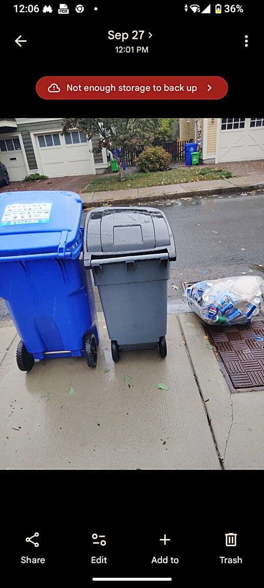 Image submitted with report