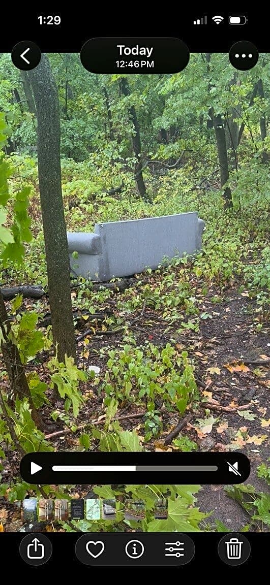 Image submitted with report