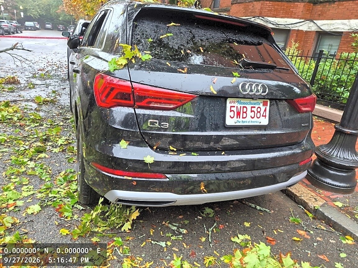 Image submitted with report