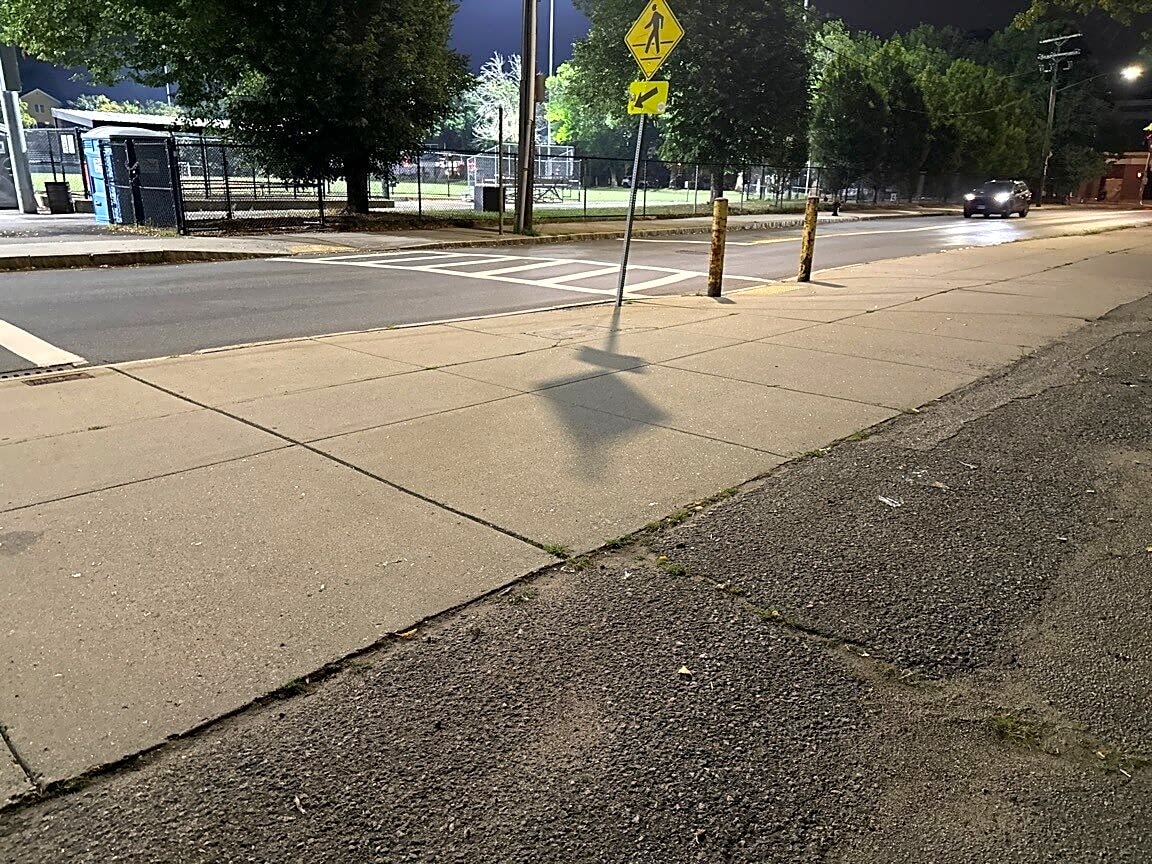 Image submitted with report