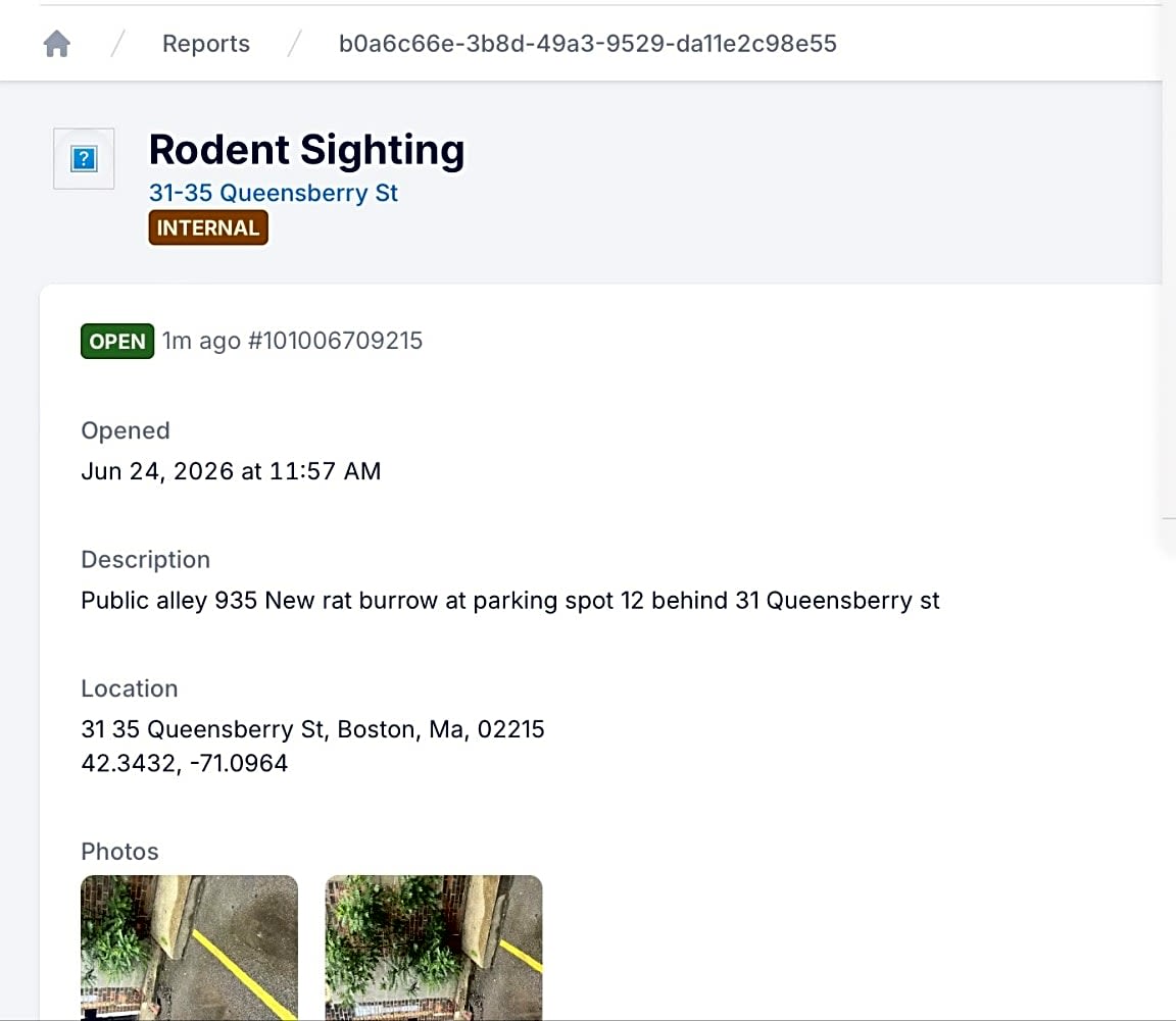 Image submitted with report