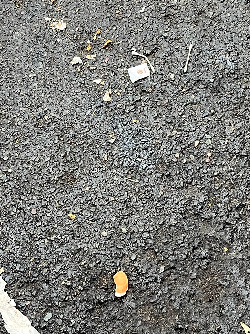 Image submitted with report