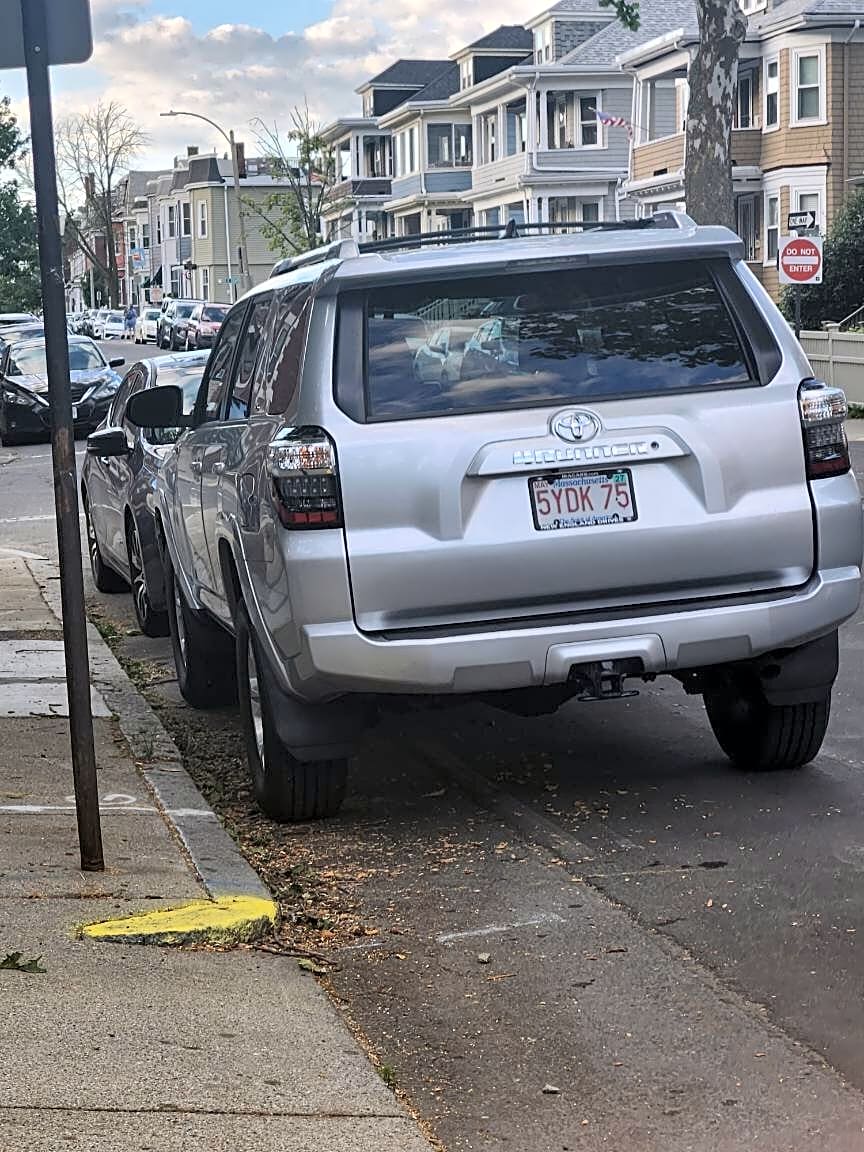 Image submitted with report