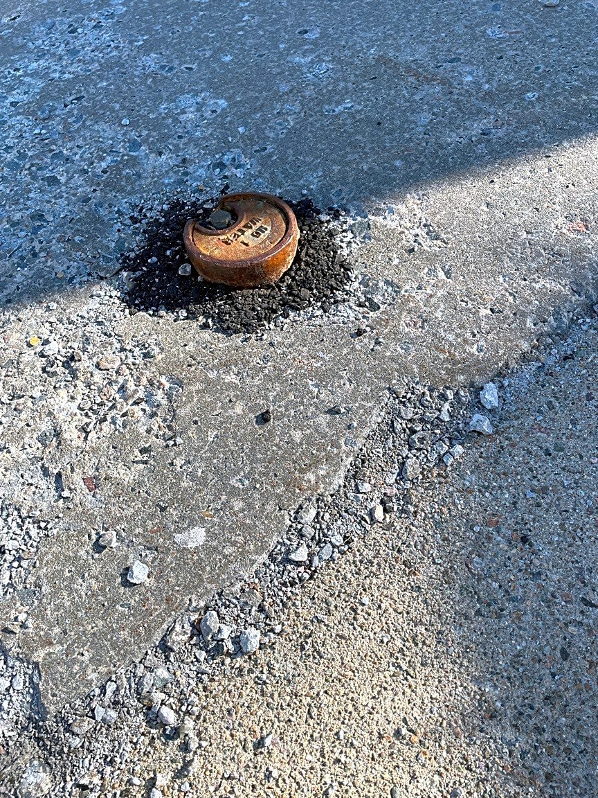 Image submitted with report