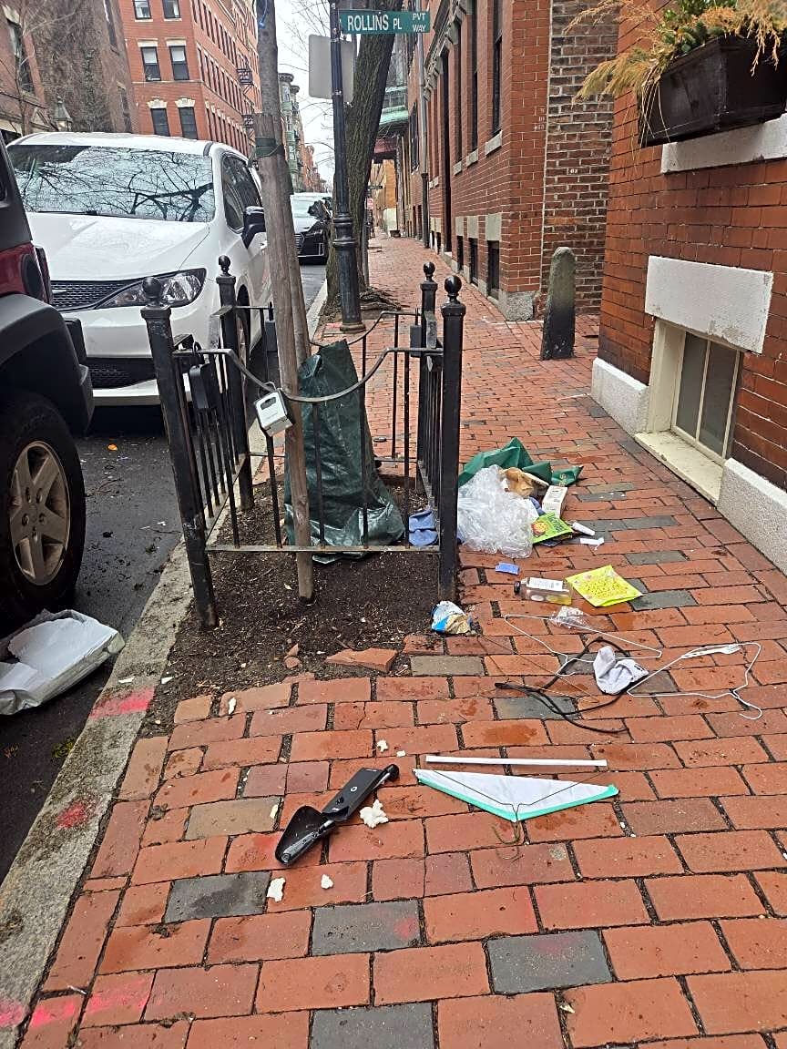 Image submitted with report