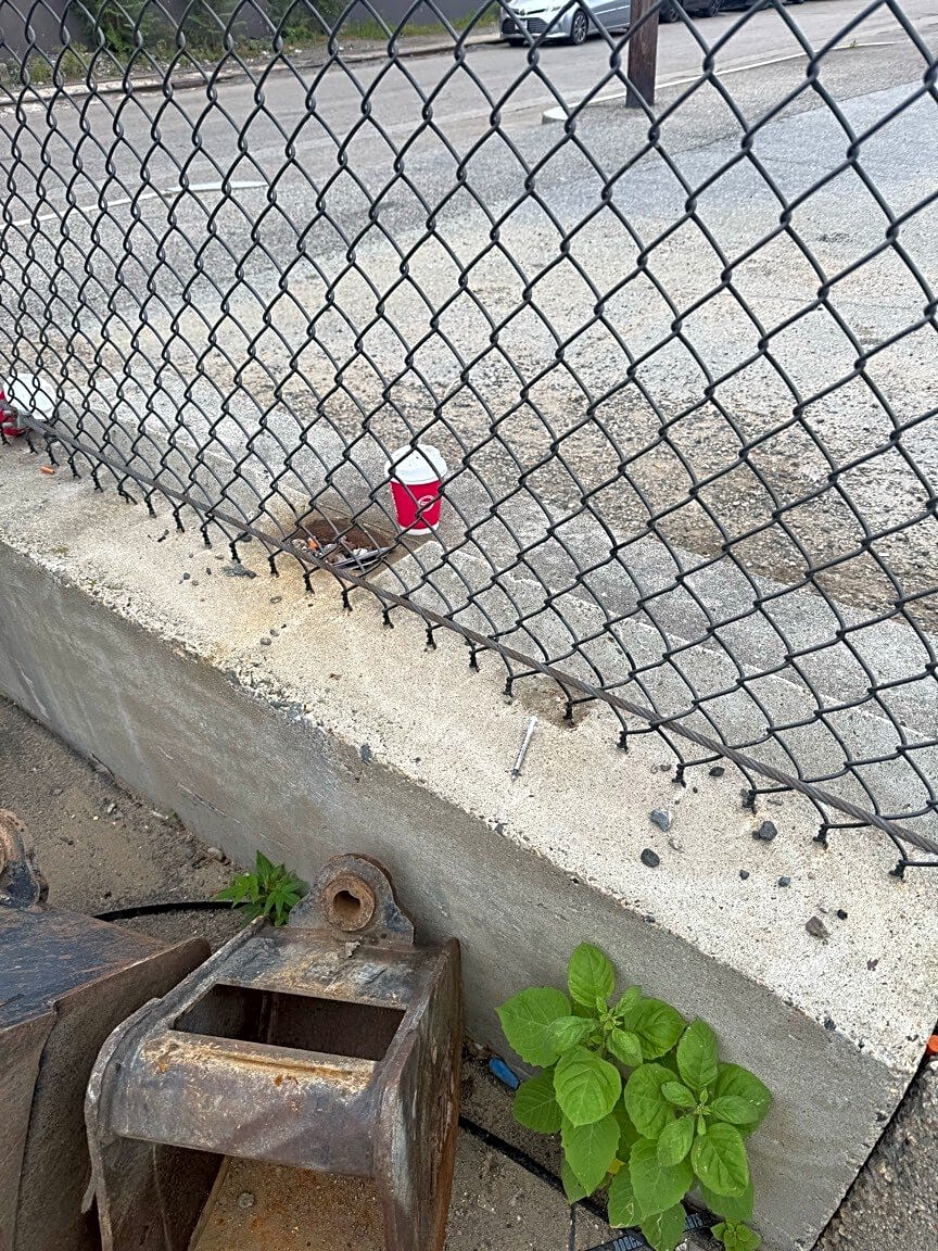 Image submitted with report