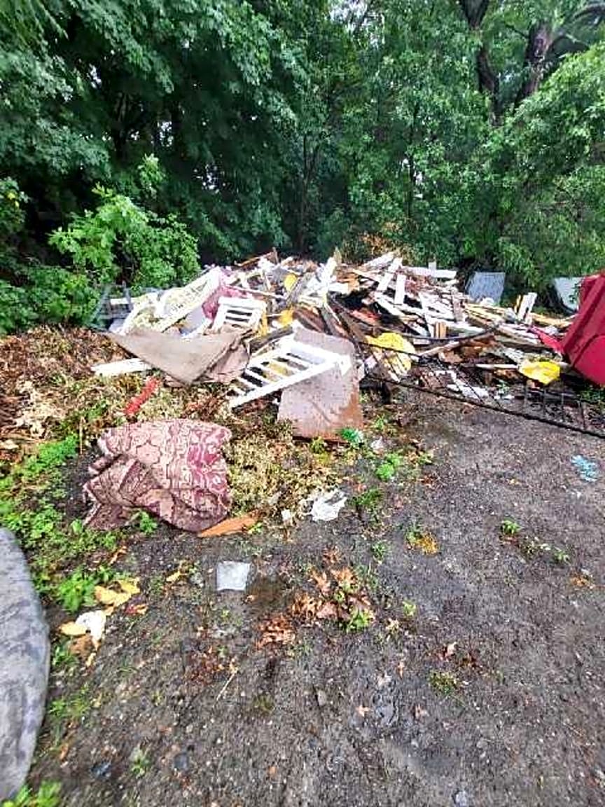 Image submitted with report