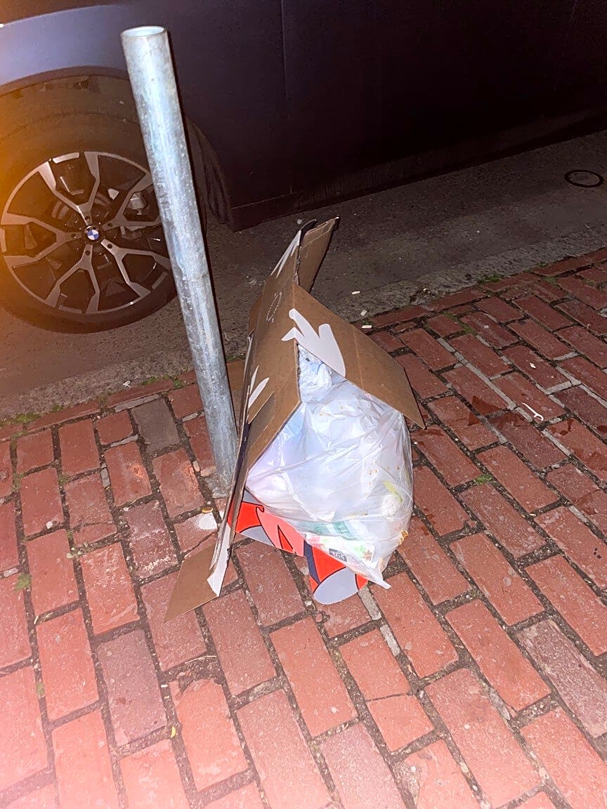 Image submitted with report