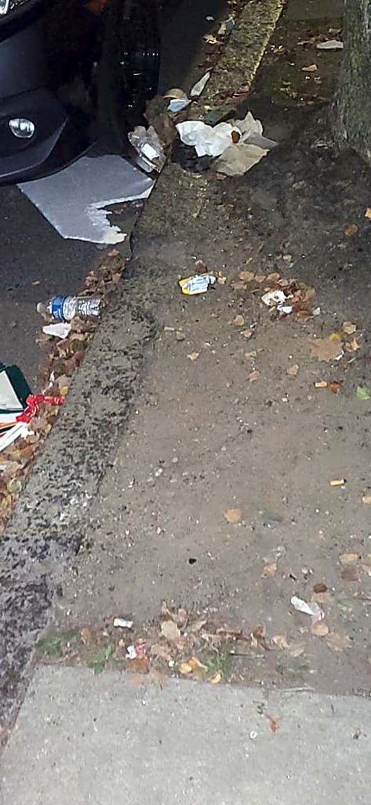 Image submitted with report