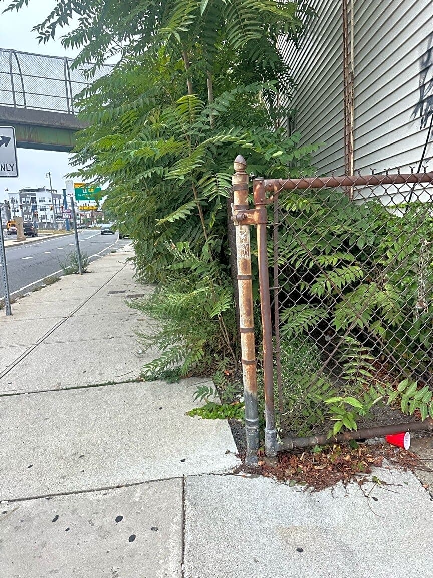 Image submitted with report