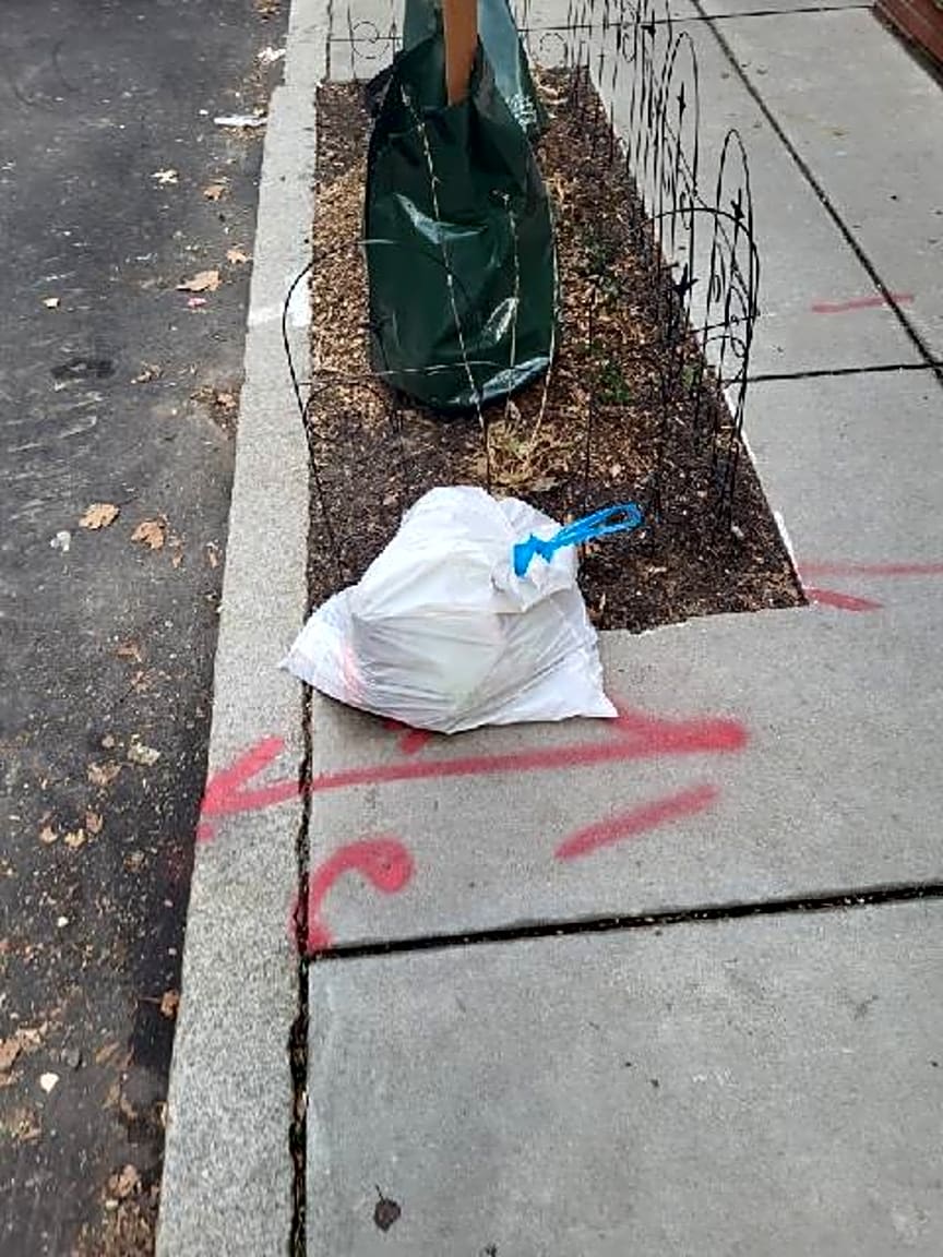 Image submitted with report