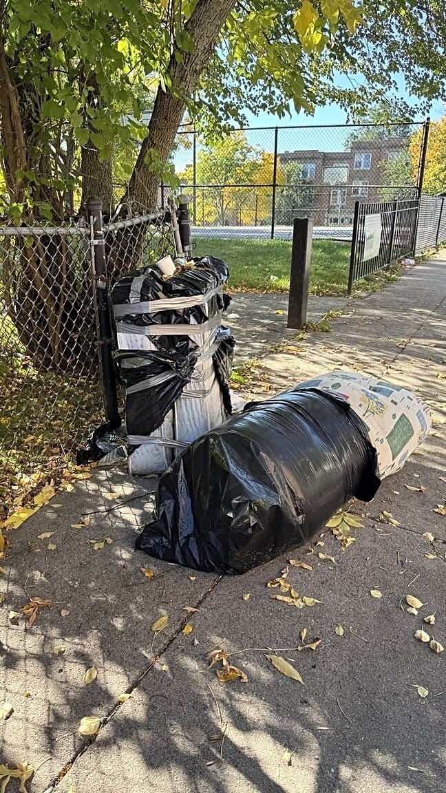 Image submitted with report