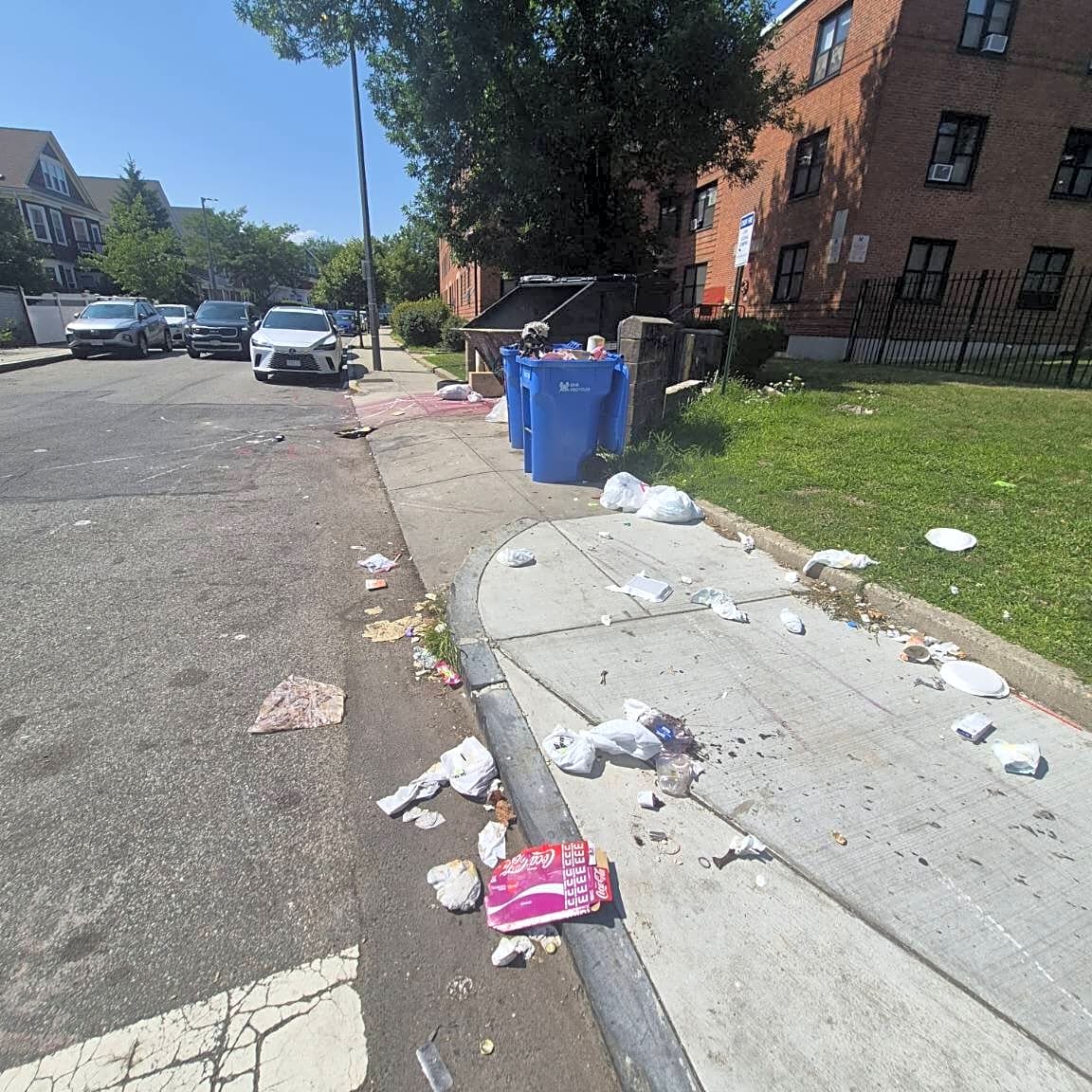 Image submitted with report