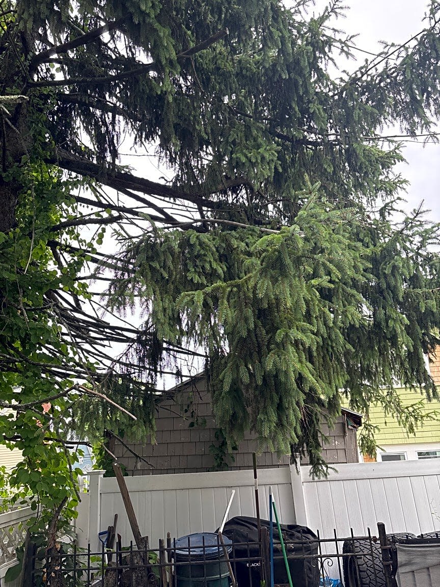 Image submitted with report