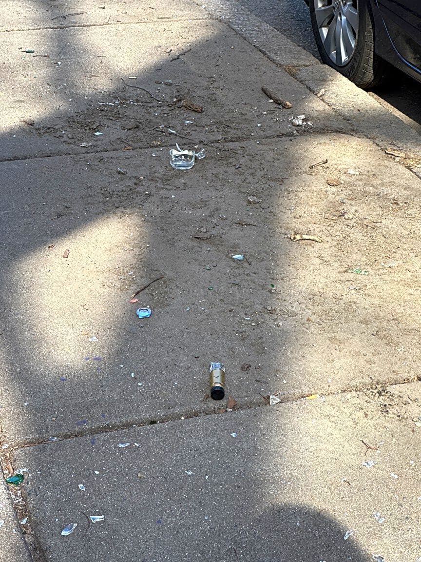 Image submitted with report