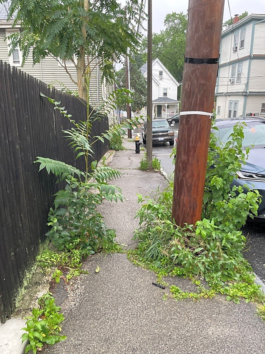 Image submitted with report