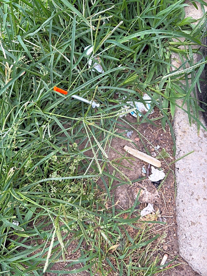 Image submitted with report