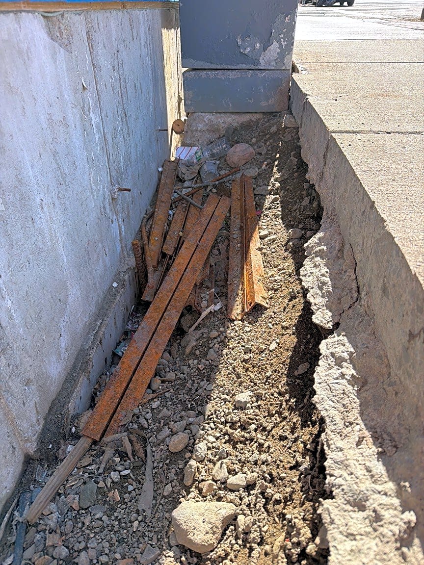 Image submitted with report