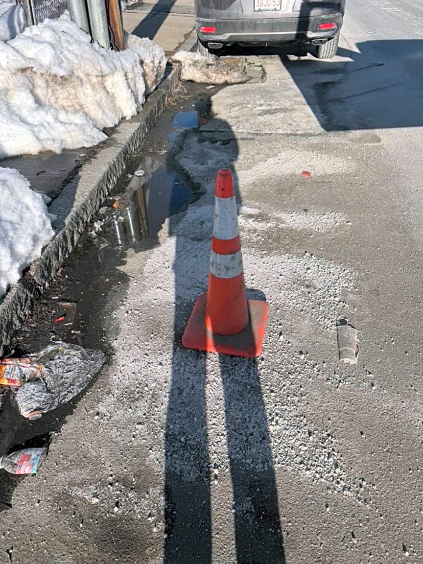 Image submitted with report