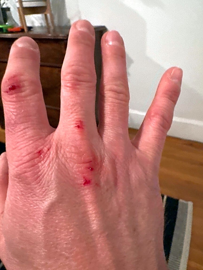 Image submitted with report