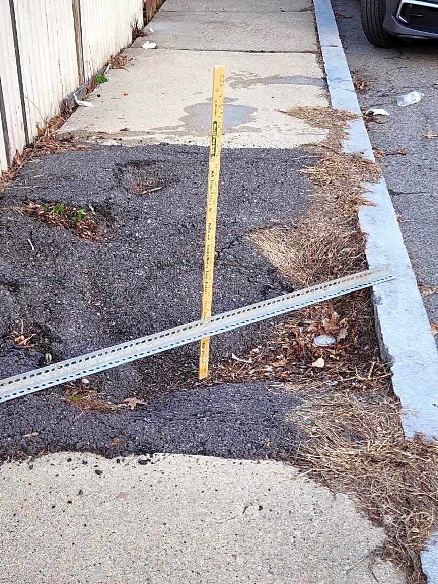 Image submitted with report