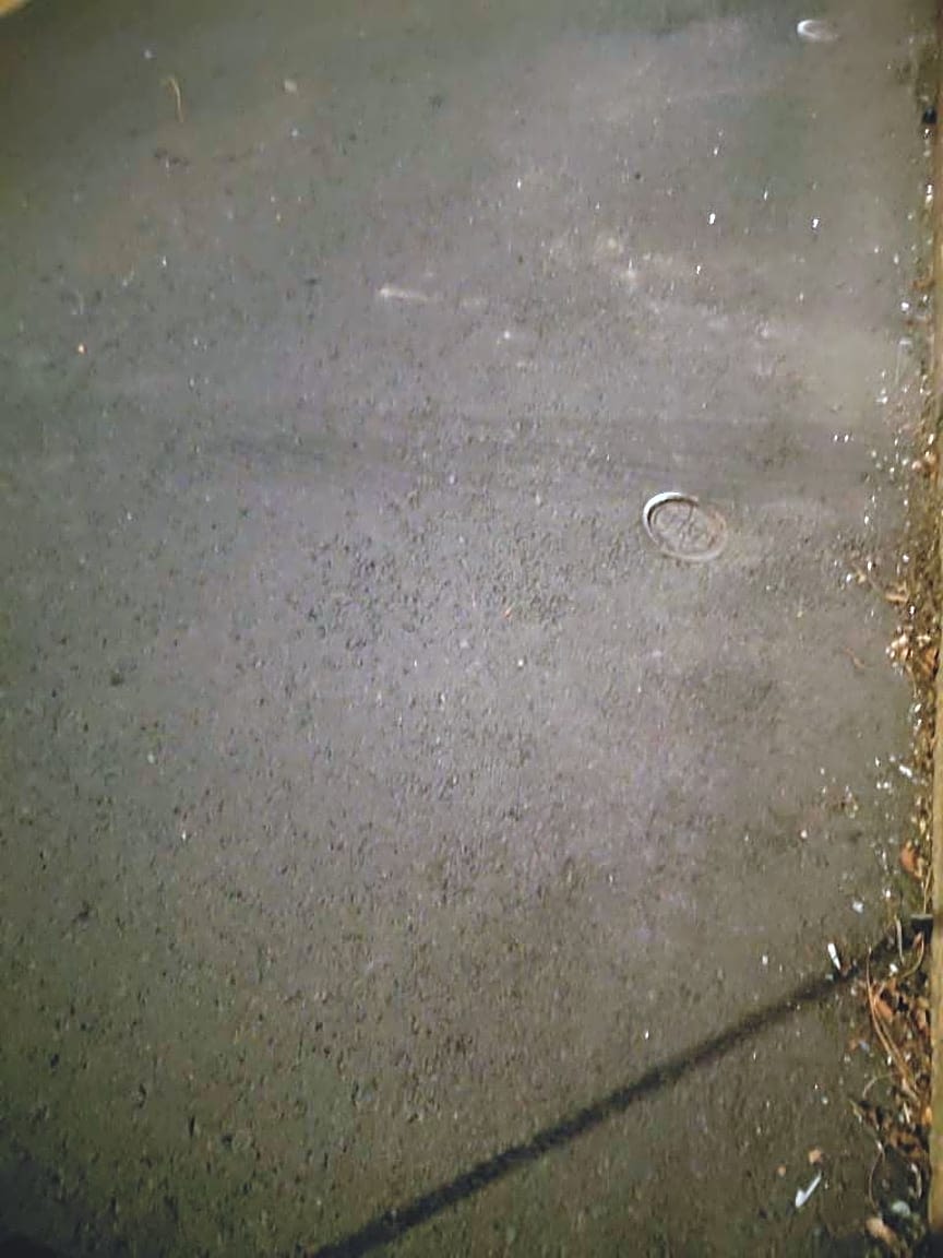 Image submitted with report