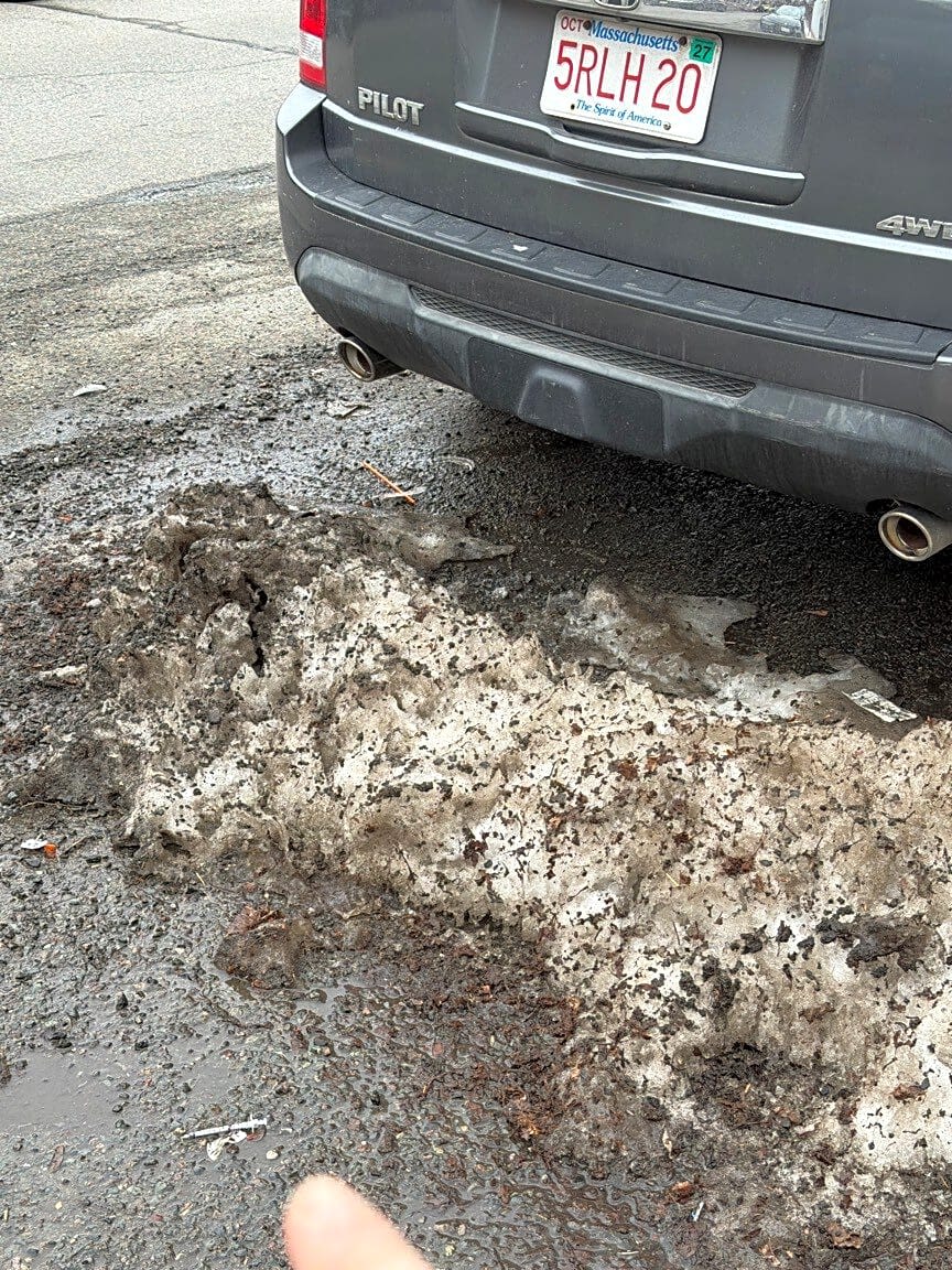 Image submitted with report