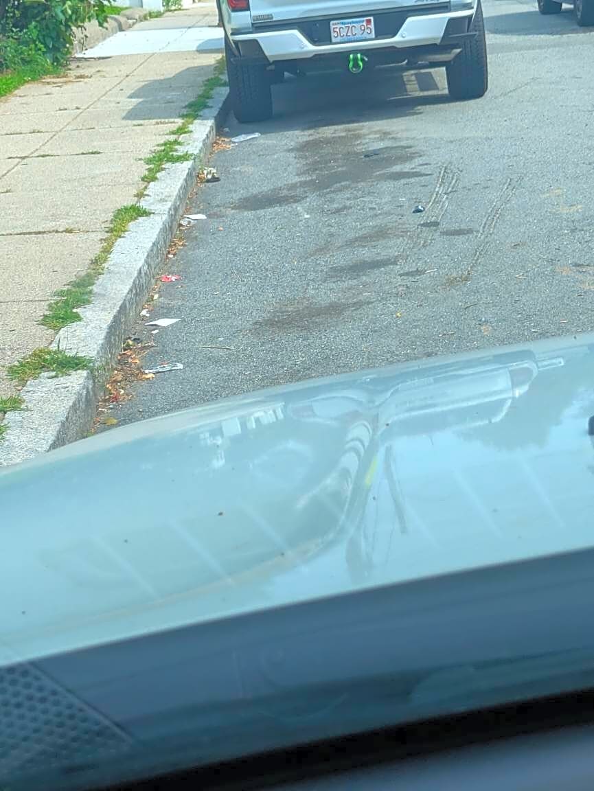 Image submitted with report