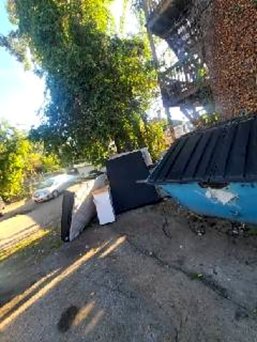 Image submitted with report