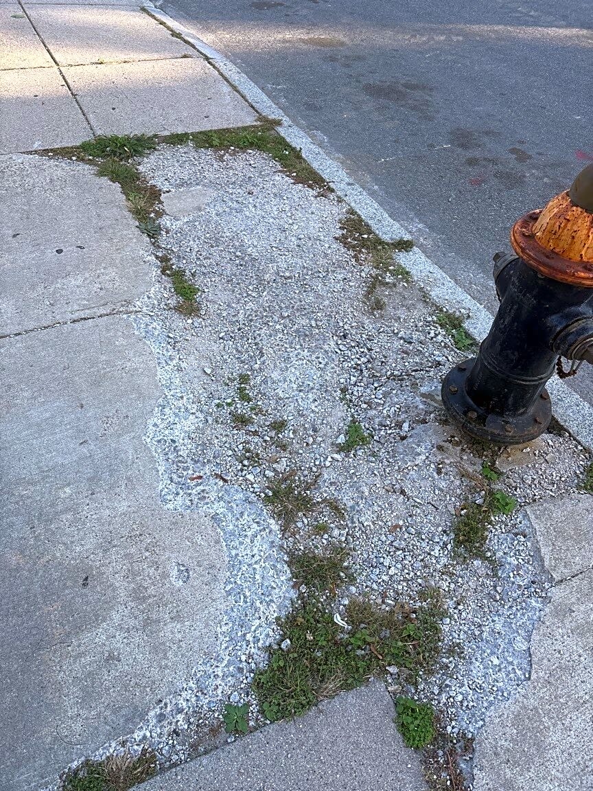 Image submitted with report