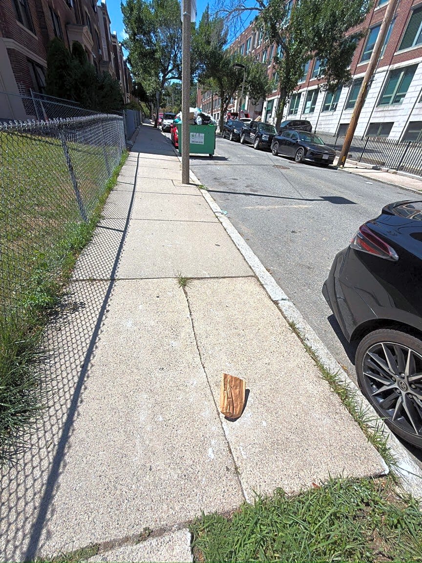 Image submitted with report