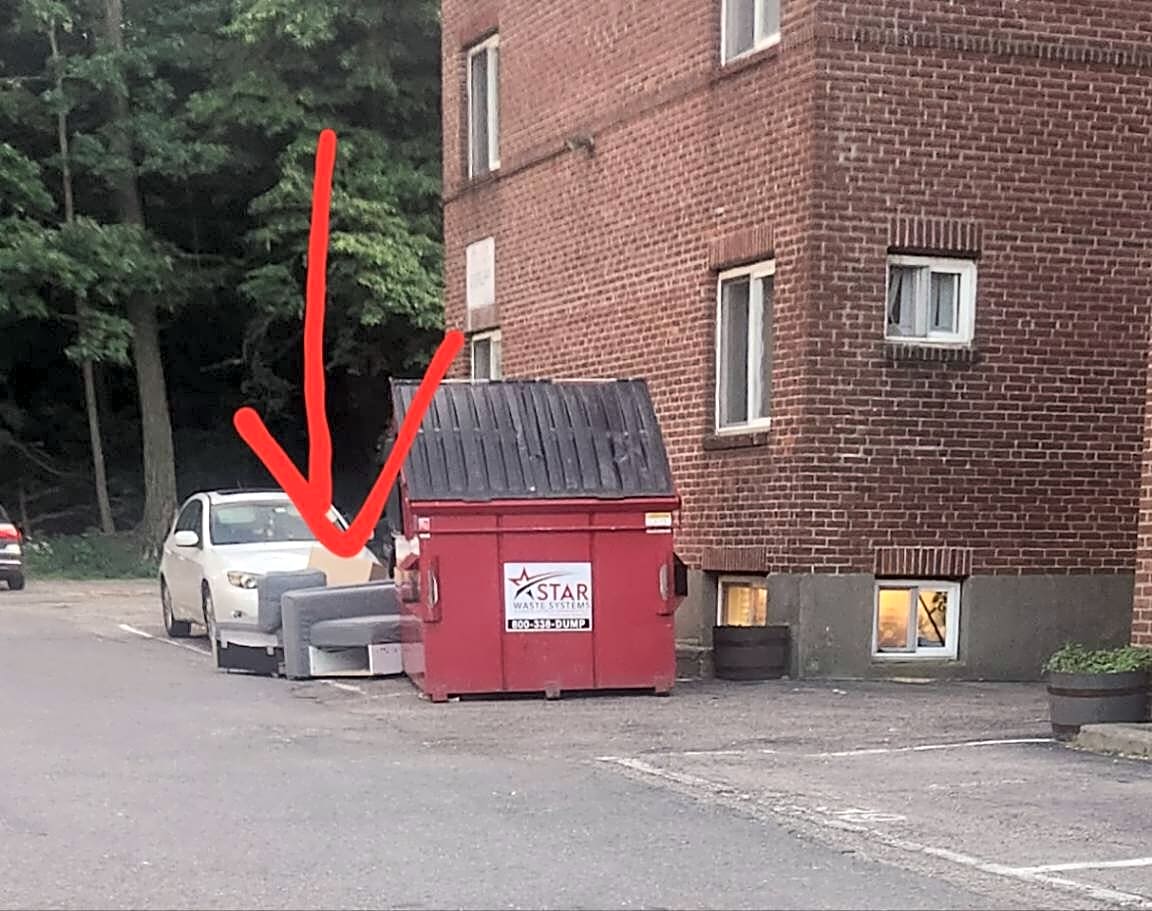 Image submitted with report