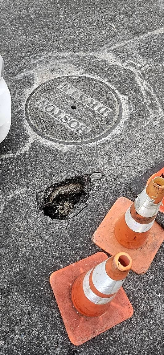 Image submitted with report