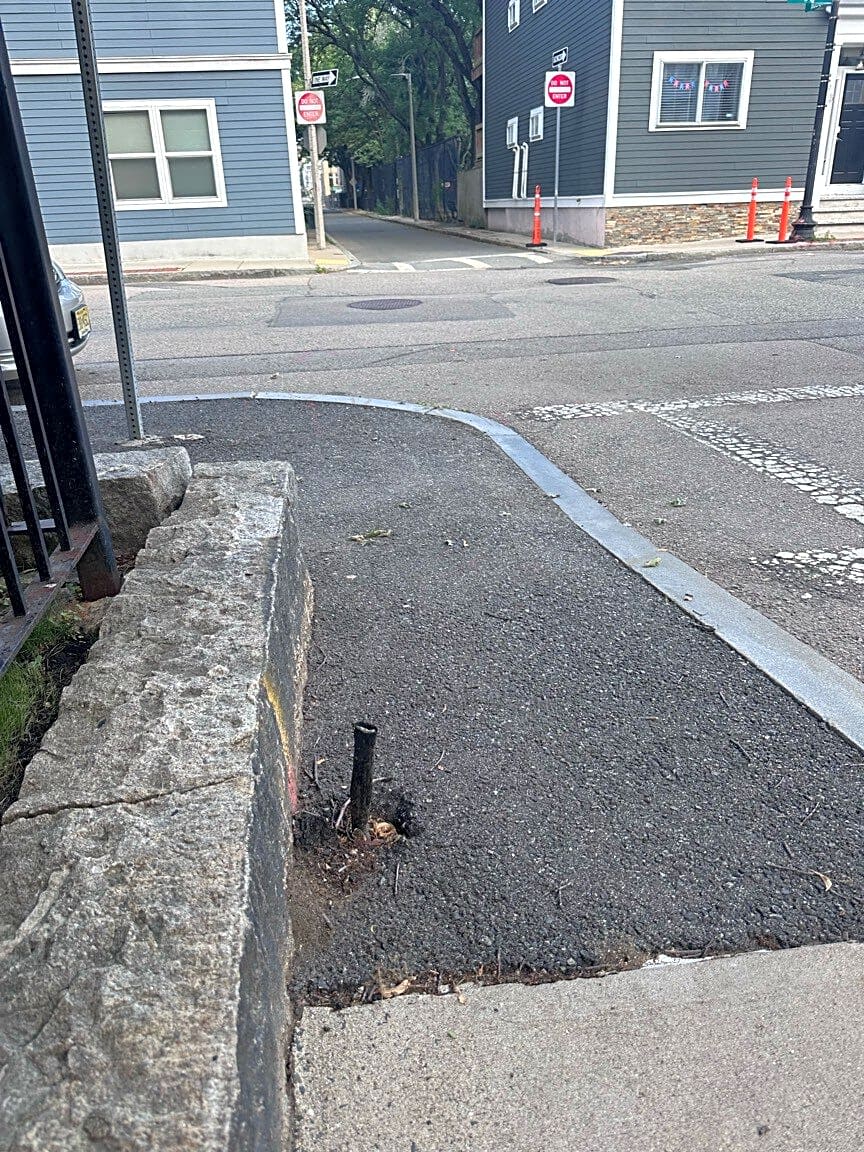 Image submitted with report