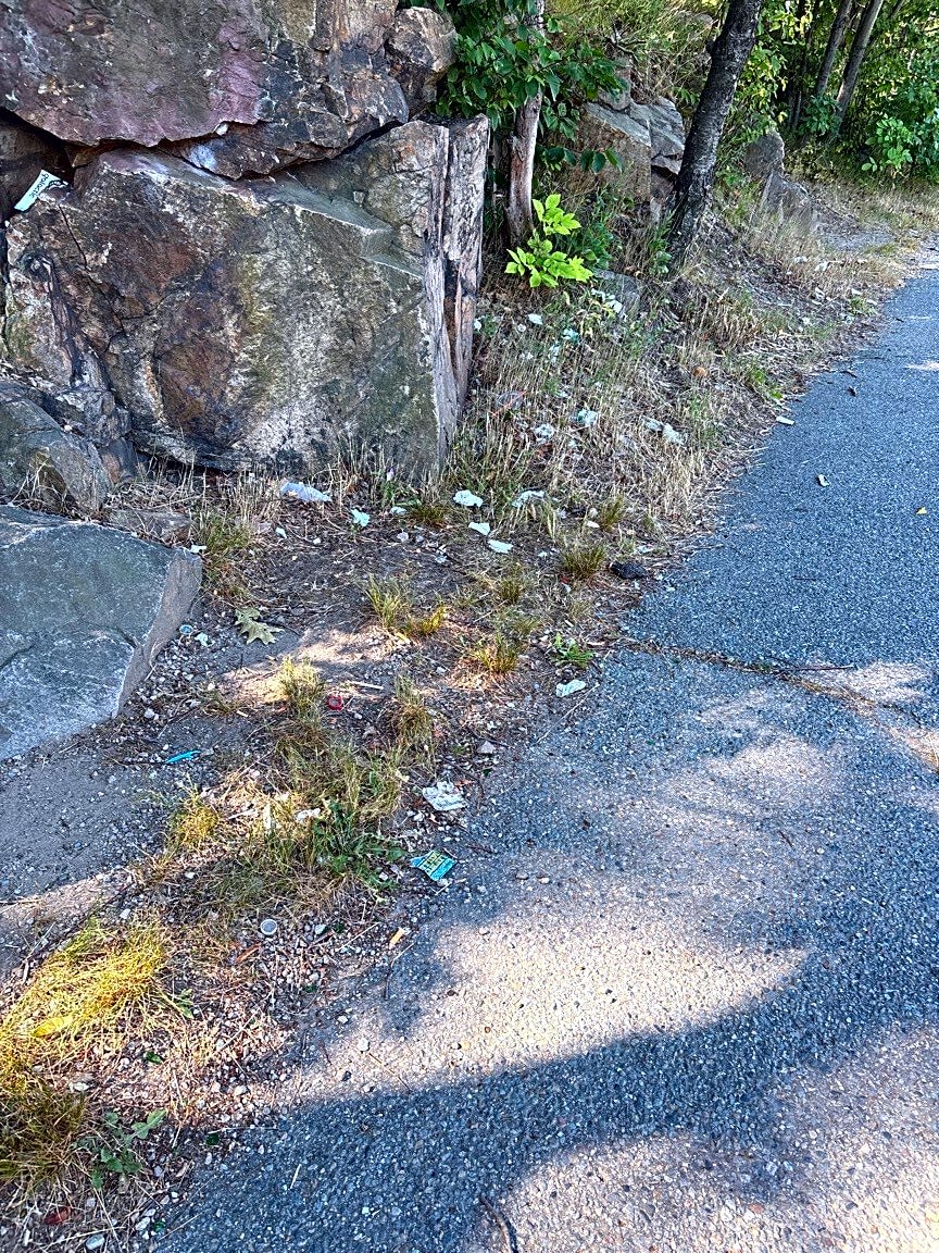 Image submitted with report