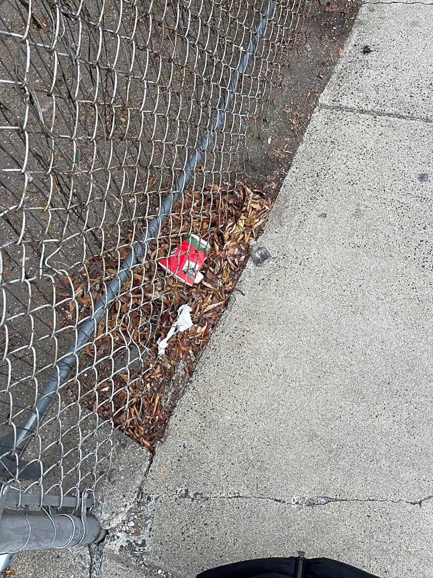 Image submitted with report