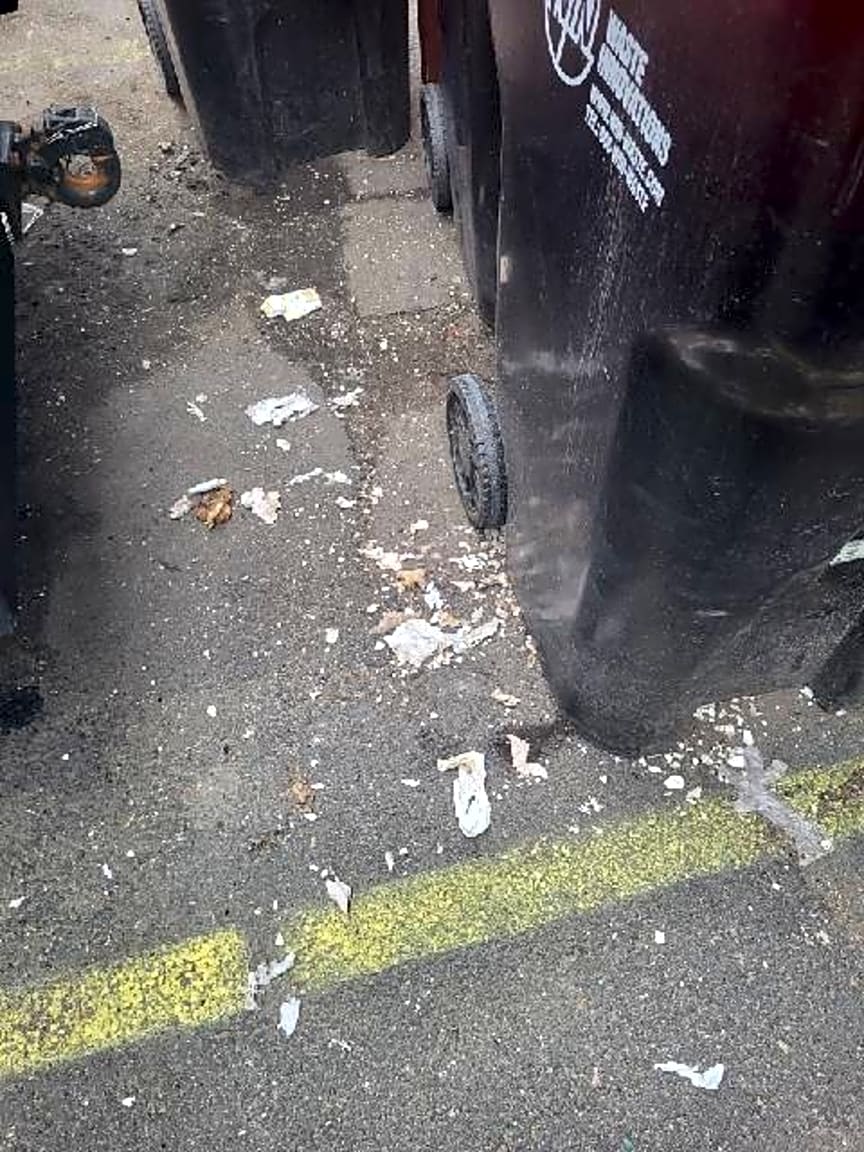 Image submitted with report