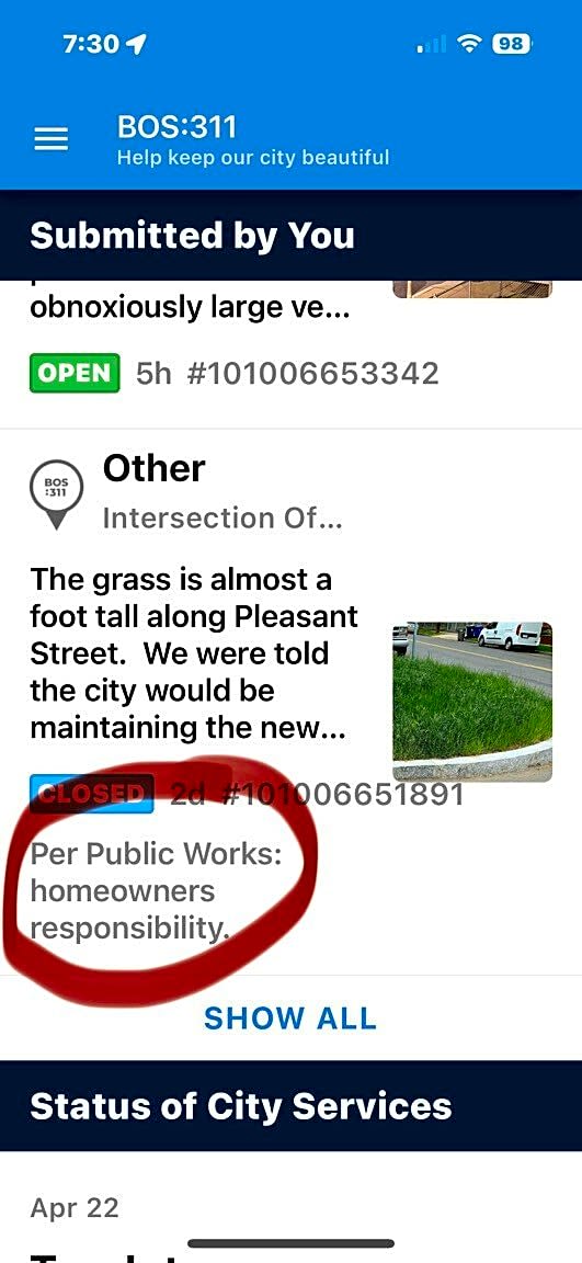 Image submitted with report