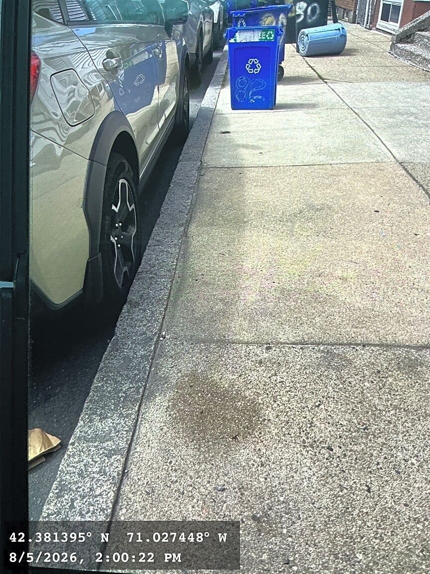 Image submitted with report