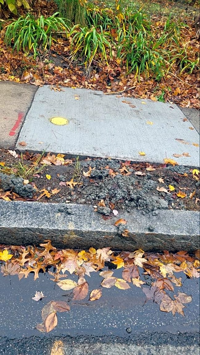 Image submitted with report