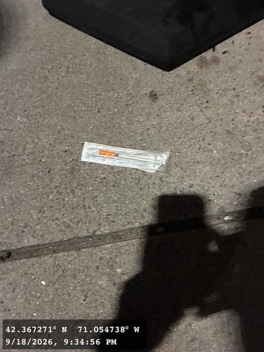 Image submitted with report