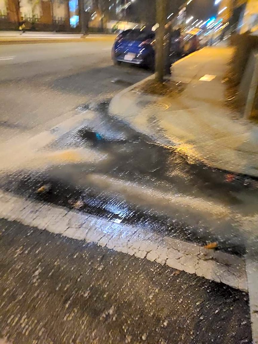 Image submitted with report