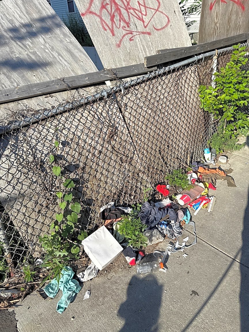 Image submitted with report