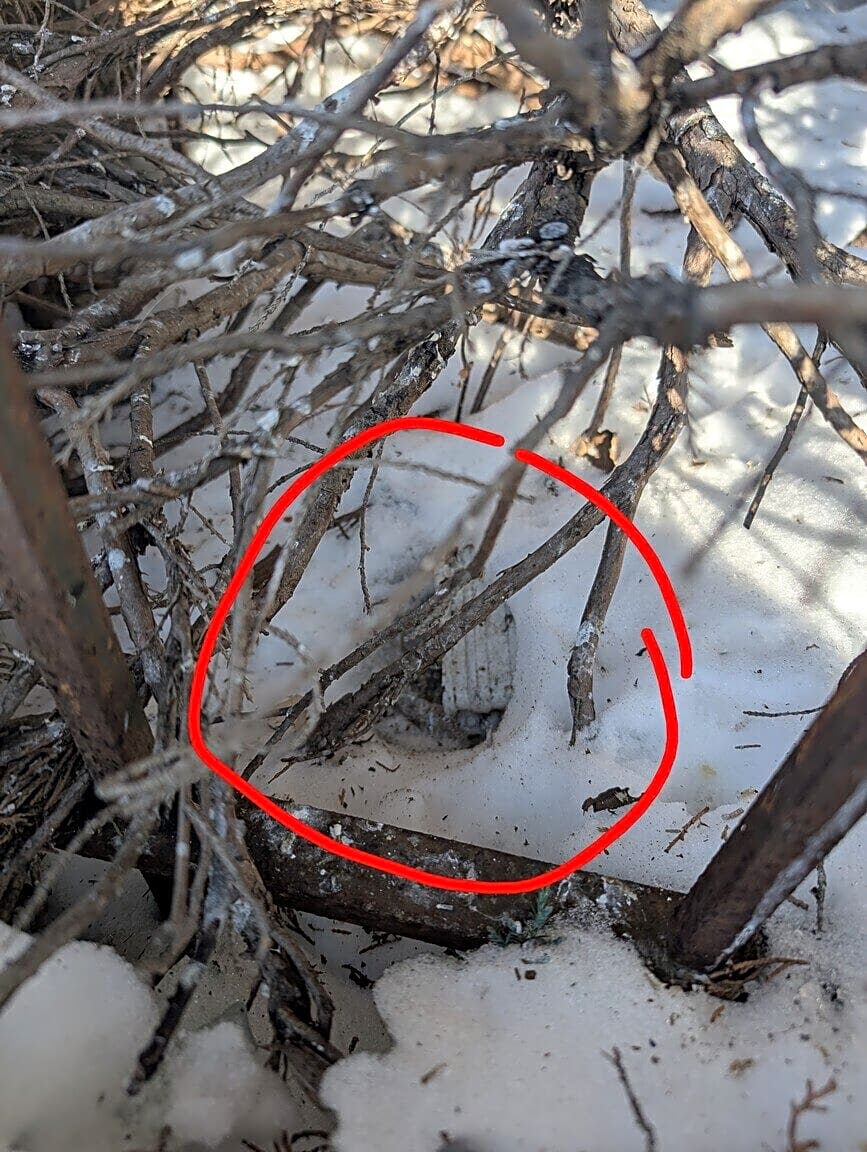 Image submitted with report