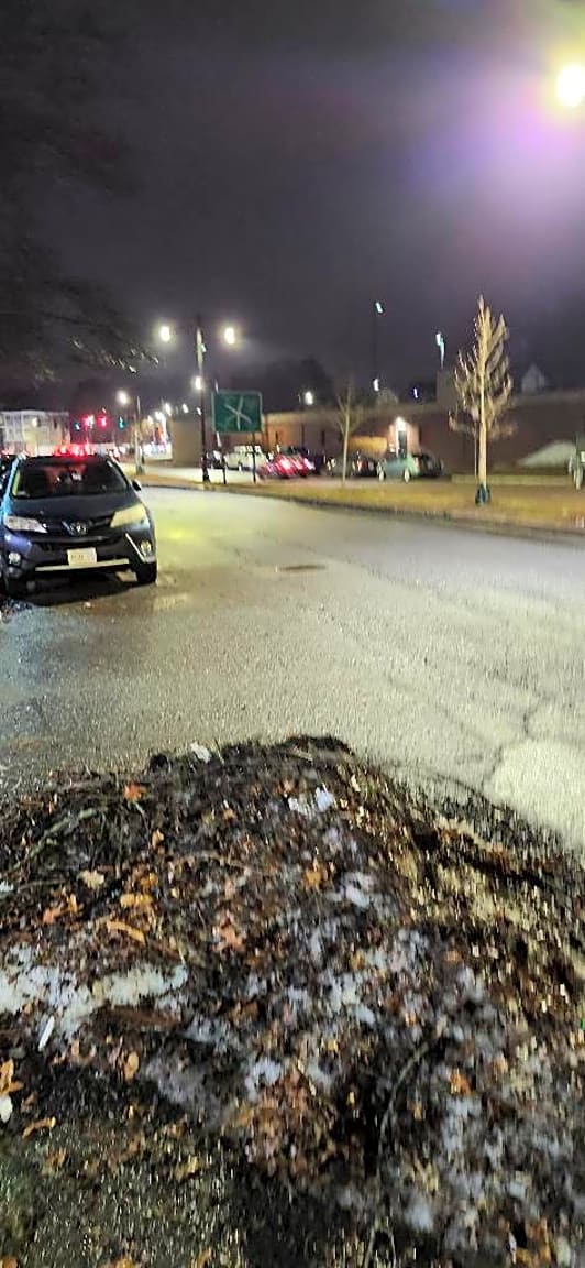 Image submitted with report