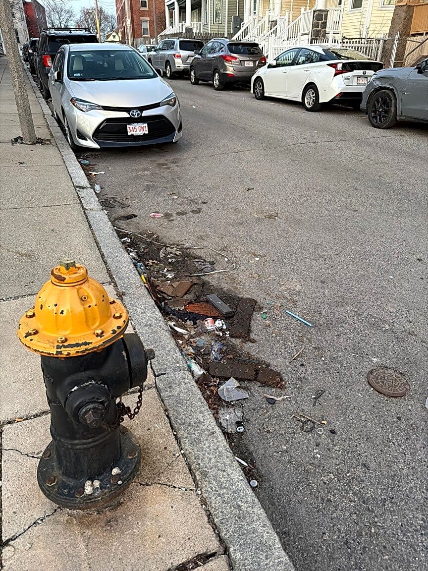 Image submitted with report